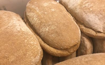 Pane di Montegemoli
